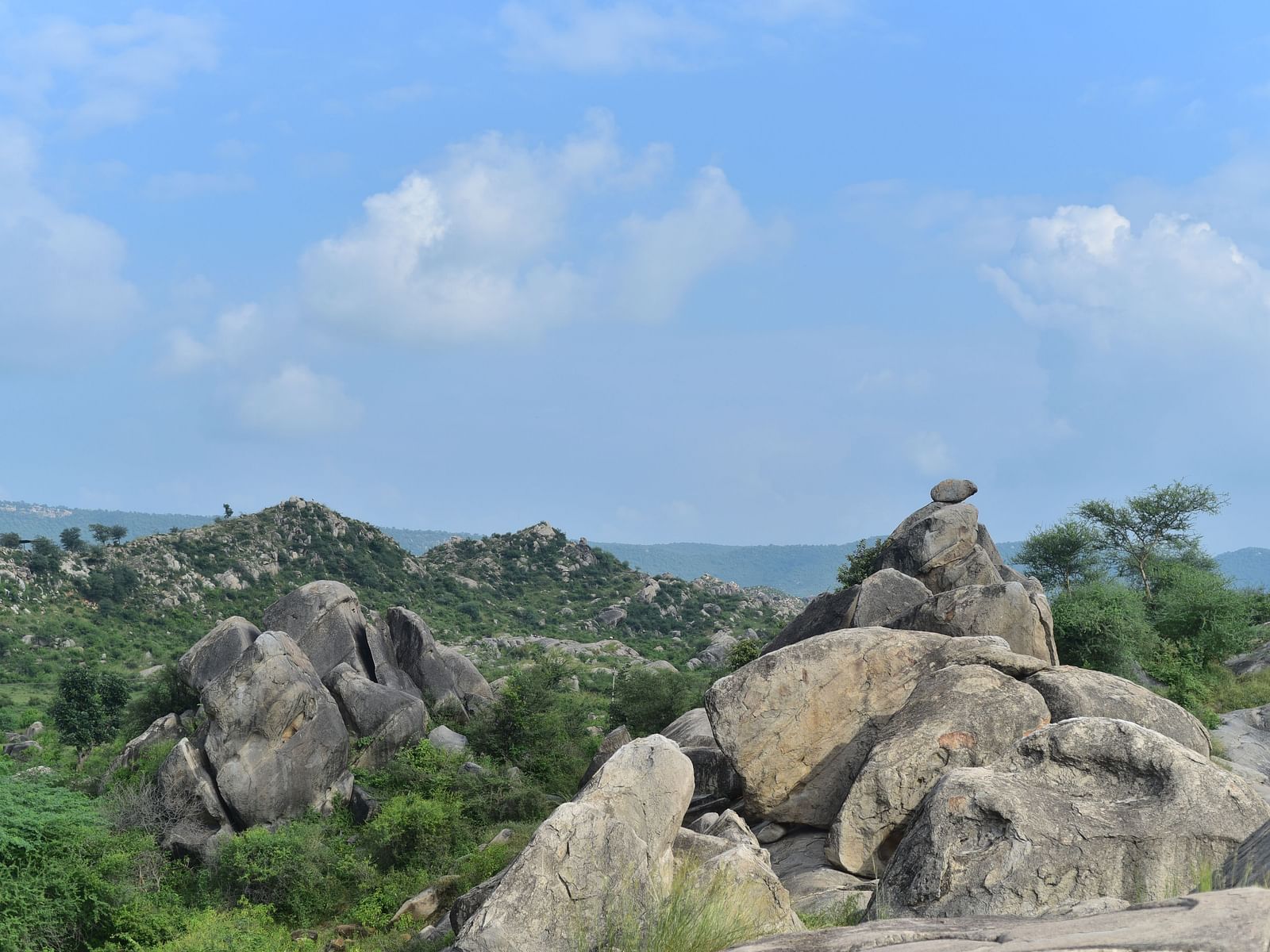 Image of a Vital Ecological Corridor in Sariska | Utsav Camp